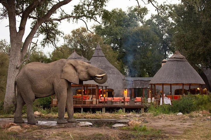 5-Day Cape Town to Kruger Safari & Garden Route — Table Mountain, Penguins, Elephants photo 3