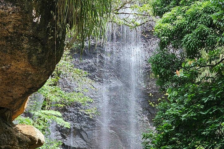 St Lucia Zipline Adventure: Chauffeured Transfers to Rainforest Canopy Tours photo 3
