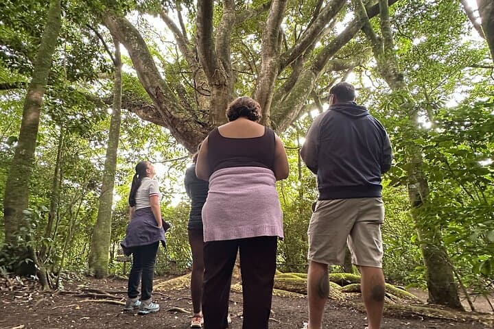 Monteverde Cloud Forest Cooking Class — Wood-Fired Costa Rican Flavors & Medicinal Gardens photo 2
