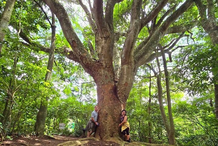 Monteverde Cloud Forest Cooking Class — Wood-Fired Costa Rican Flavors & Medicinal Gardens photo 5