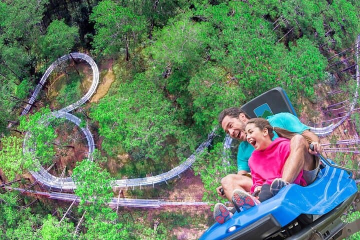 Datanla Alpine Coaster: Glide Through Da Lat's Pine Forests