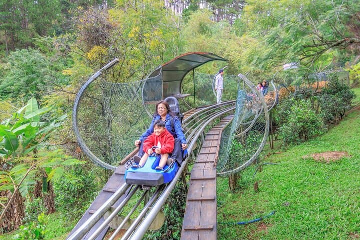 Datanla Alpine Coaster: Glide Through Da Lat's Pine Forests photo 3