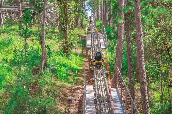 Datanla Alpine Coaster: Glide Through Da Lat's Pine Forests photo 4