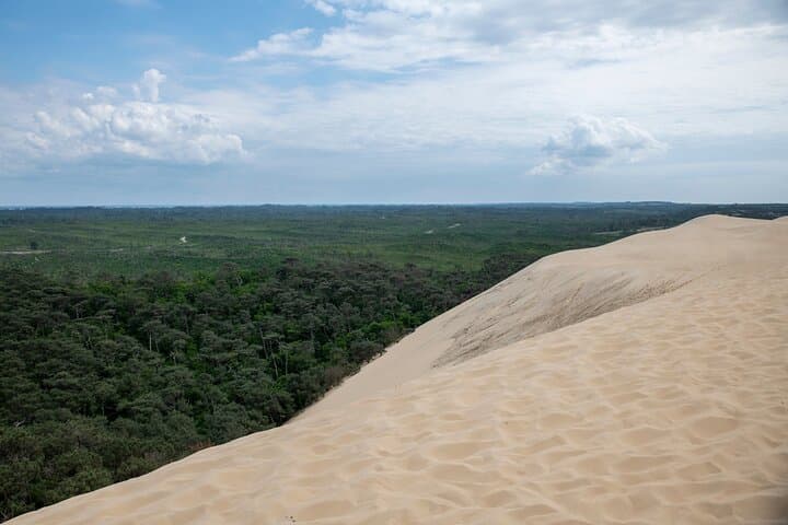 Bordeaux to Dune du Pilat: Arcachon Bay Day Trip Guide photo 3