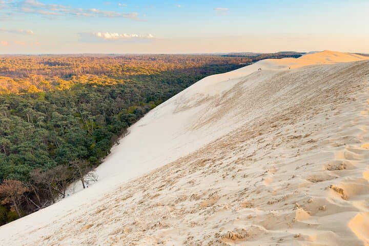 Bordeaux to Dune du Pilat: Arcachon Bay Day Trip Guide
