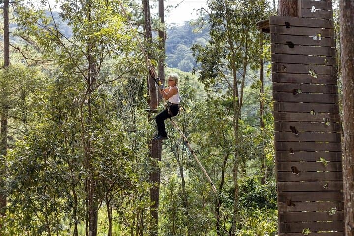 Datanla High Rope Course: Zipline, Cliff Jump & Pine-Forest Adventure Near Da Lat photo 3