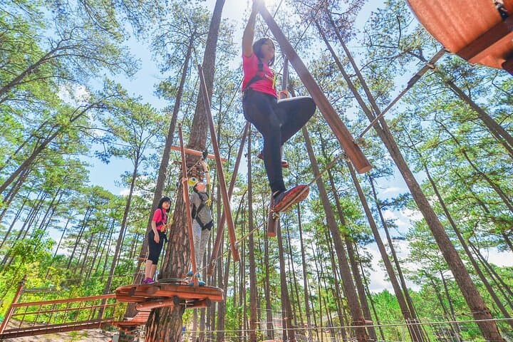 Datanla High Rope Course: Zipline, Cliff Jump & Pine-Forest Adventure Near Da Lat photo 6