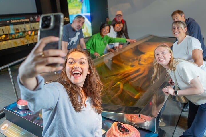 Visit Te Papa: Wellington’s National Museum Experience for International Visitors photo 2