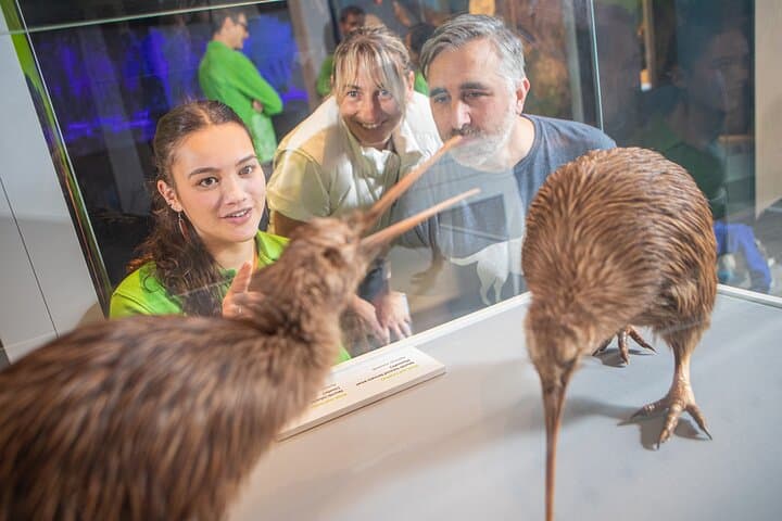 Visit Te Papa: Wellington’s National Museum Experience for International Visitors photo 3