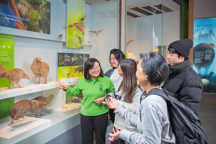 Guided Tour of Te Papa Tongarewa — Wellington's Essential Museum Experience photo 2