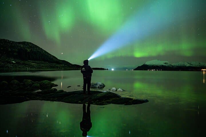 Chase the Northern Lights in Vesterålen: Small-Group Aurora Tour from Sortland photo 3