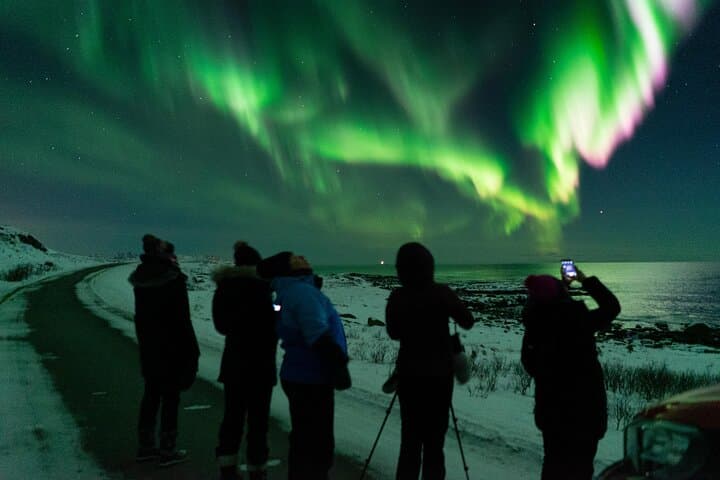 Chase the Northern Lights in Vesterålen: Small-Group Aurora Tour from Sortland photo 2