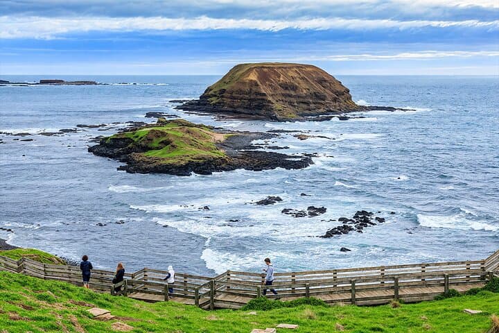 Melbourne Day Tour: Puffing Billy Steam Train, Yarra Valley Wineries & Phillip Island Penguin Parade photo 6