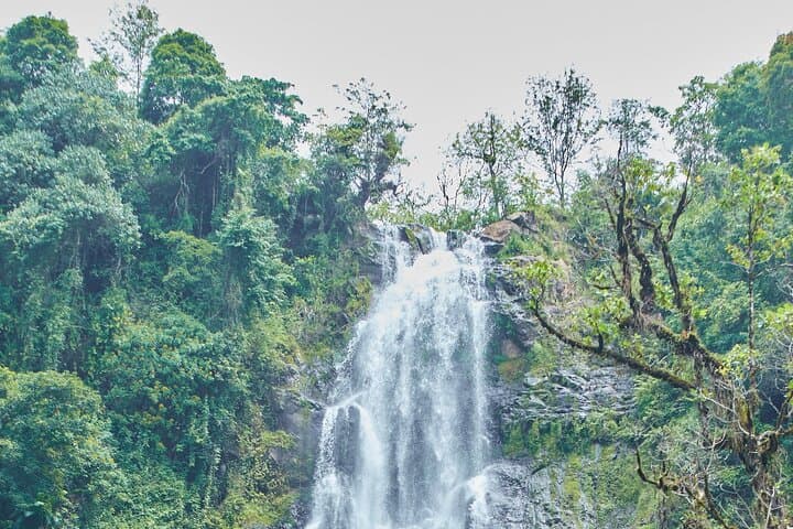 Materuni Waterfalls & Coffee Tour near Mount Kilimanjaro — Hike, Swim & Chagga Culture photo 3