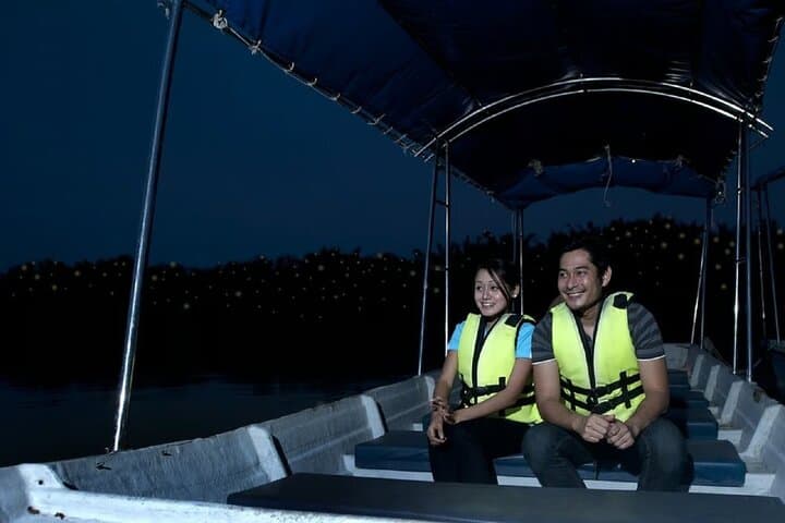 Kuala Selangor Firefly Boat Tour & Seafood Dinner at Kampung Kuantan