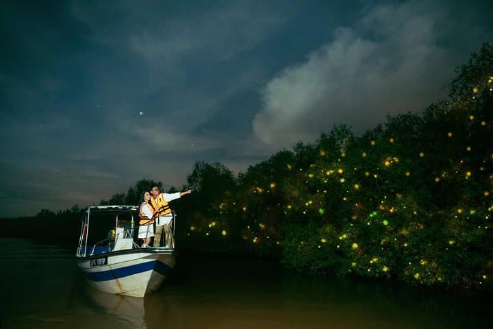 Kuala Selangor Firefly Boat Tour & Seafood Dinner at Kampung Kuantan photo 4