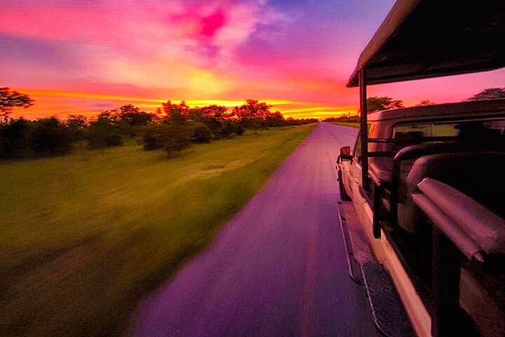 Zambezi National Park 3-Hour Game Drive from Victoria Falls photo 5