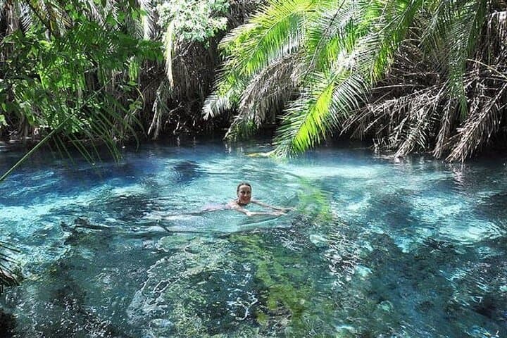 Kikuletwa (Chemka) Hot Springs Day Trip from Moshi or Arusha photo 4