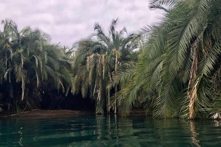 Kikuletwa (Chemka) Hot Springs Day Trip from Moshi or Arusha photo 5