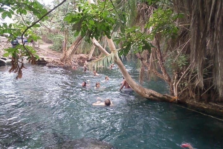 Kikuletwa (Chemka) Hot Springs Day Trip from Moshi or Arusha photo 6