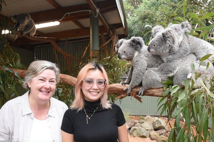 Blue Mountains Day Tour: Scenic World, Wildlife & Echo Point Views photo 5