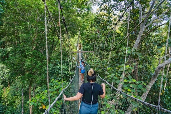Taman Negara Day Trip from Kuala Lumpur: Canopy Walk, Orang Asli Village & Rainforest Wildlife