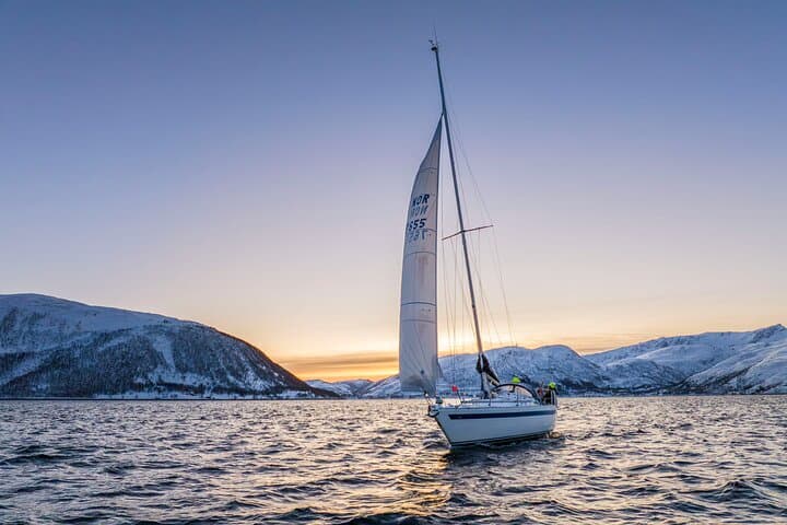 Sail Kaldfjord from Tromsø: Half-Day Fjord Cruise with Fishing & Fresh Soup