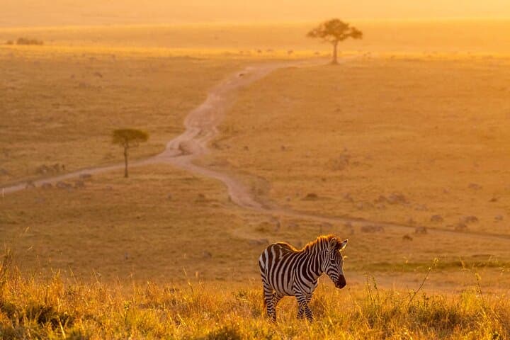 Budget 6-Day Safari: Ngorongoro, Serengeti & Tarangire National Parks photo 6