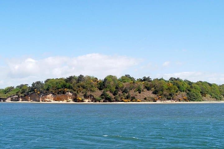 Festive Harbour Cruise in Poole Harbour — Mulled Wine & Mince Pies photo 3