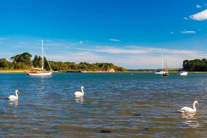 Festive Harbour Cruise in Poole Harbour — Mulled Wine & Mince Pies photo 4
