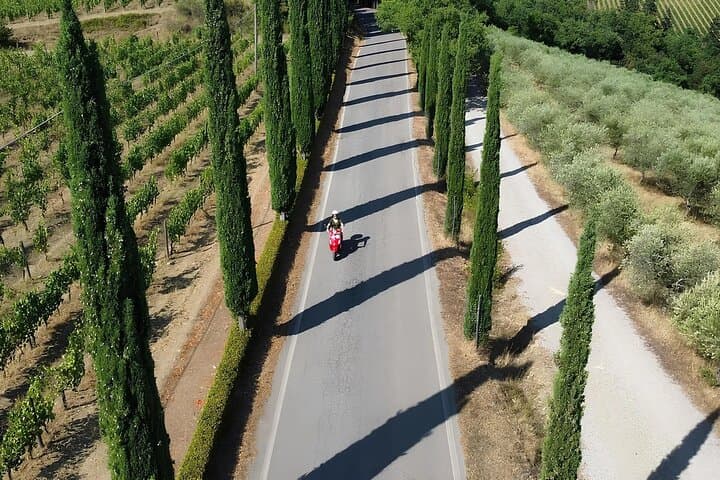 Full-Day Vespa Rental in Chianti: Ride Castellina's Scenic Country Roads
