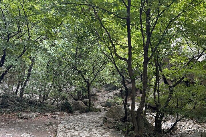 Day Trip to Paklenica National Park: Velika Paklenica Gorge Hike & Manita Peć Cave from Zadar photo 3