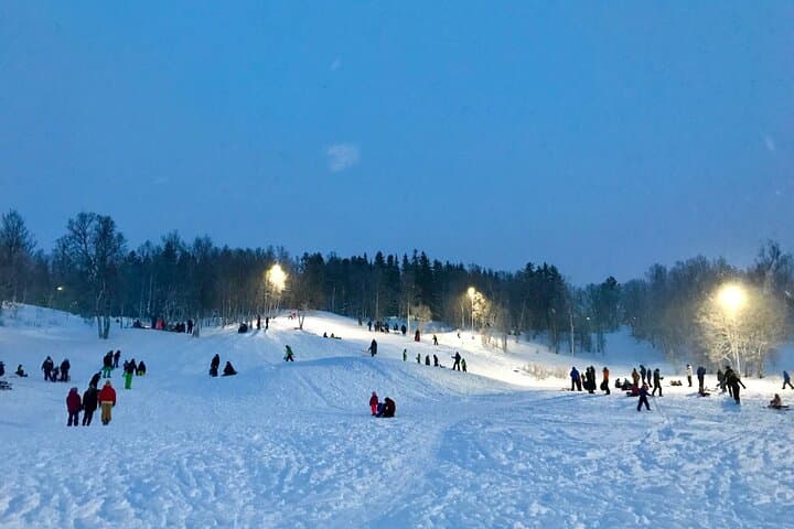 Charlottenlund Sledding and Bonfire Near Tromsø: Arctic Aking with Snacks photo 3