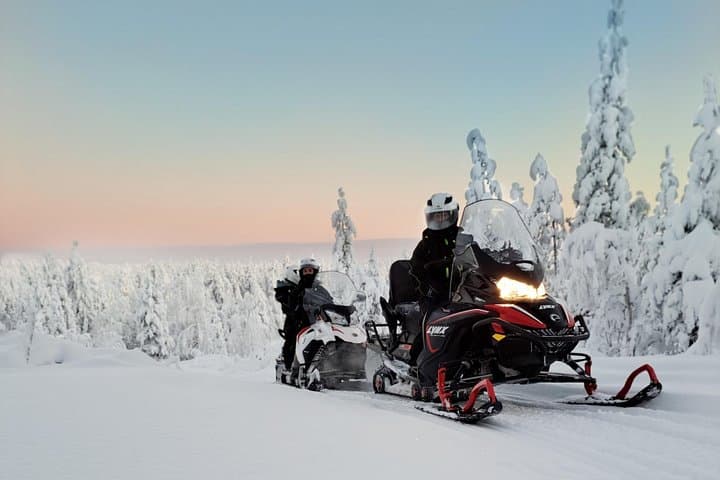Full-Day Snowmobile Adventure from Rovaniemi — 100 km in Finnish Lapland photo 1