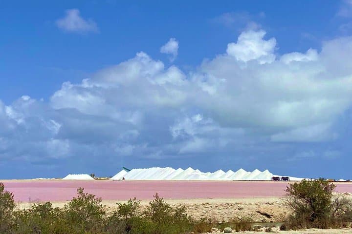Guided Bonaire South Tour — Salt Ponds, Historic Huts & Southern Lighthouse