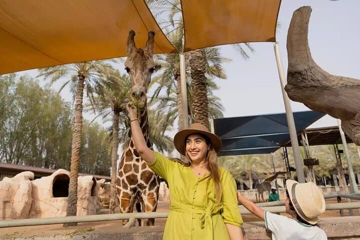 Hands-On Wildlife at Emirates Park Zoo: Feed Giraffes, Watch Sea Lions, Try the Zoo Zip