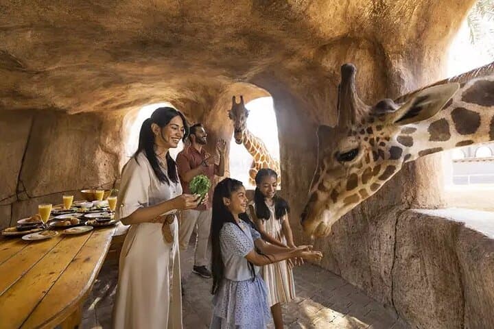 Hands-On Wildlife at Emirates Park Zoo: Feed Giraffes, Watch Sea Lions, Try the Zoo Zip photo 6