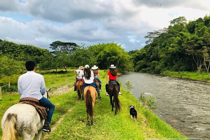 Horseback Riding Near Medellín: Scenic Trails, Rivers & Pine Forests photo 2
