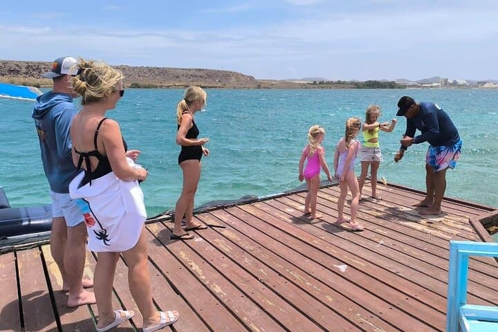 Private Half-Day Snorkel & Mangrove Experience at Mangel Halto, Aruba photo 2