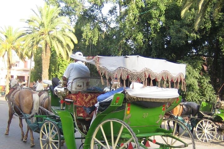 Marrakech Gardens & Medina: Anima Garden, Menara, Koutoubia and Calèche Ride