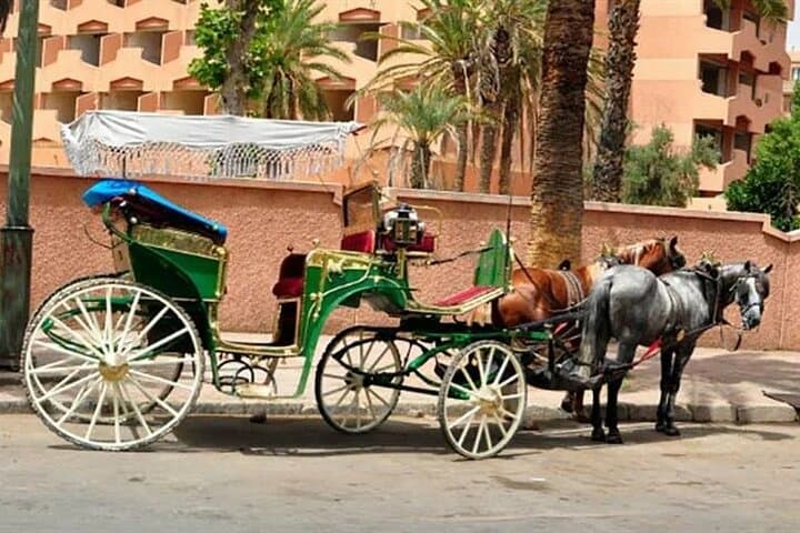 Marrakech Gardens & Medina: Anima Garden, Menara, Koutoubia and Calèche Ride photo 3