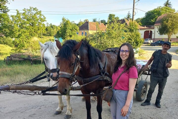 Transylvania Day Trip: Sibiu to Biertan, Brateiu & Sighișoara Village Crafts
