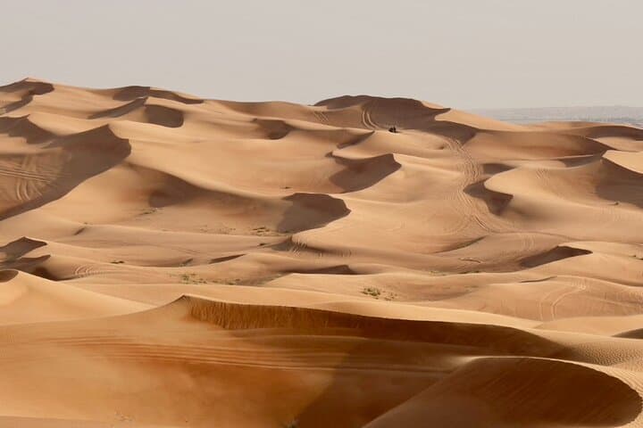 Red Dunes Evening Safari in Dubai — BBQ, Live Shows & Camel Rides photo 4
