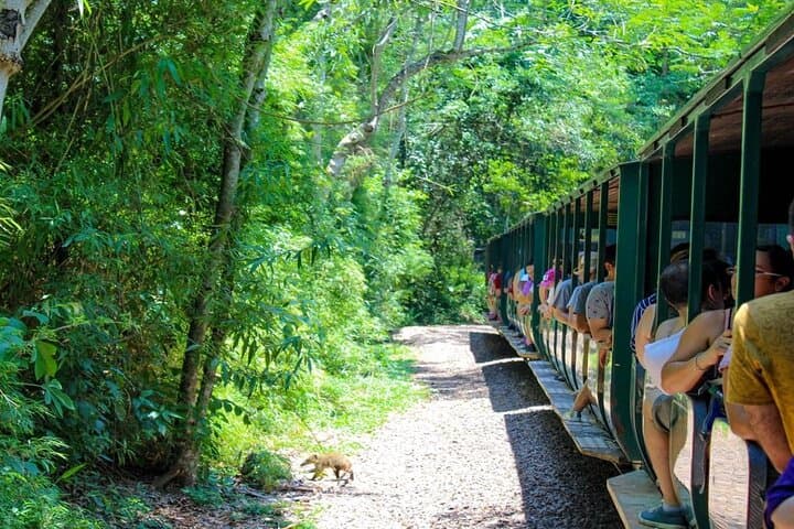 Iguazu Falls 4-Day Escape from Buenos Aires: Flights, Parks & Devil’s Throat photo 3