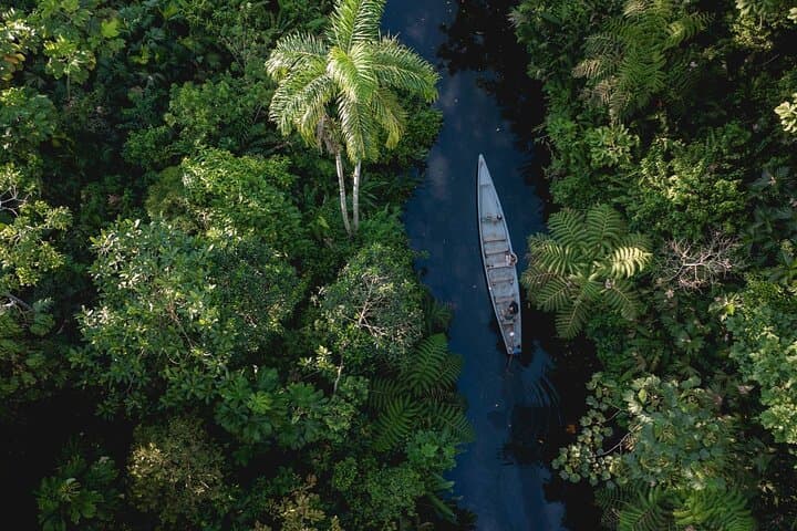 4-Day Amazon Jungle Adventure from Quito — Napo River Lodge & Kichwa Encounters photo 2