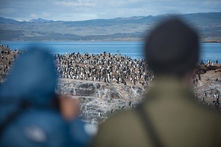 Ushuaia 4-Day Trip: Tierra del Fuego National Park & Beagle Channel Cruise photo 4