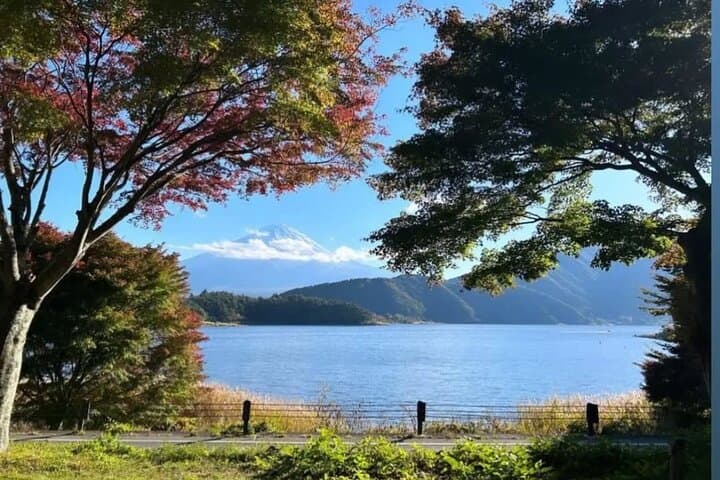 Private Driving Tour to Mt. Fuji, Hakone & Tokyo — Custom Full-Day Experience photo 4
