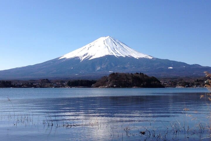 Private Driving Tour to Mt. Fuji, Hakone & Tokyo — Custom Full-Day Experience photo 3