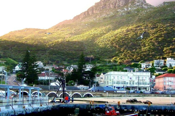 Cape Town Nature Journey: Echo Valley Hike, Arderne Gardens & Lion's Head Sunset photo 4