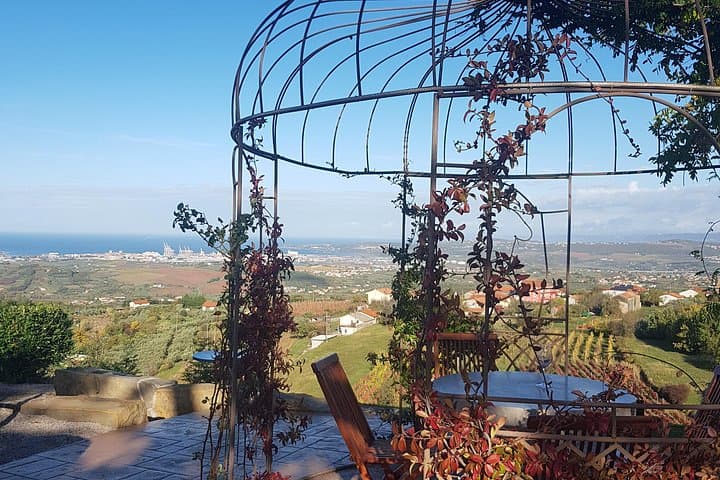 Izola & Marezige Wine Hills: Private Coastal Wine Tour from Koper photo 4